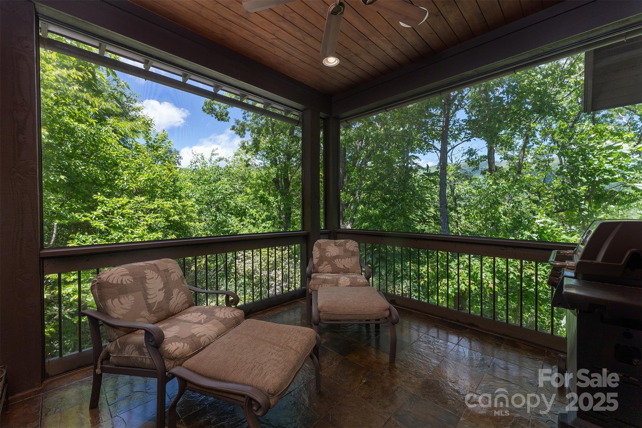 Vista at Montreat - Residential