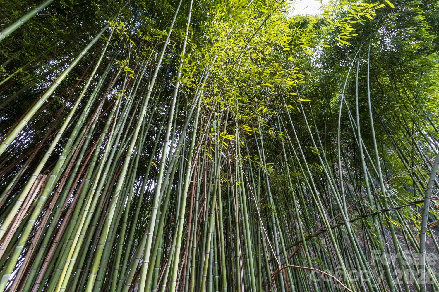 78 and 80 Taylor Street