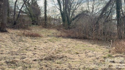 39 Lanvale Avenue Asheville NC 28806