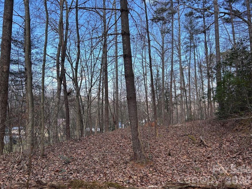 Wooded lot near the lake and priced to move.  A natural setting with easy access to lake living.  Build now or hold for the future.  Opportunities like this don't last long.  A great spot for a primary residence or investment property.  Conveniently located to Hwy 321, Hickory's airport, Hickory's Riverwalk and more!