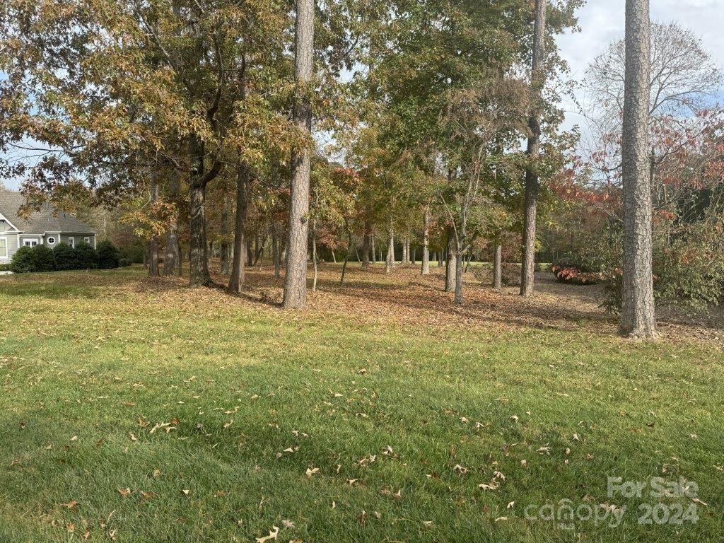 202 Patterson's Bridge None