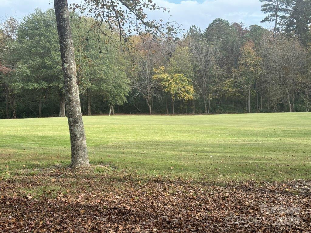 202 Patterson's Bridge None