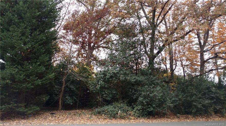 Nice lot available in Collins Park.  Backs up to the Collins Neighborhood Park.  Great location between SouthEnd and Park Rd Shopping Center. House previously on lot- water and sewer taps to be verified by buyer.  Quick drive to uptown or just walk to the light rail station. Don't miss this opportunity!