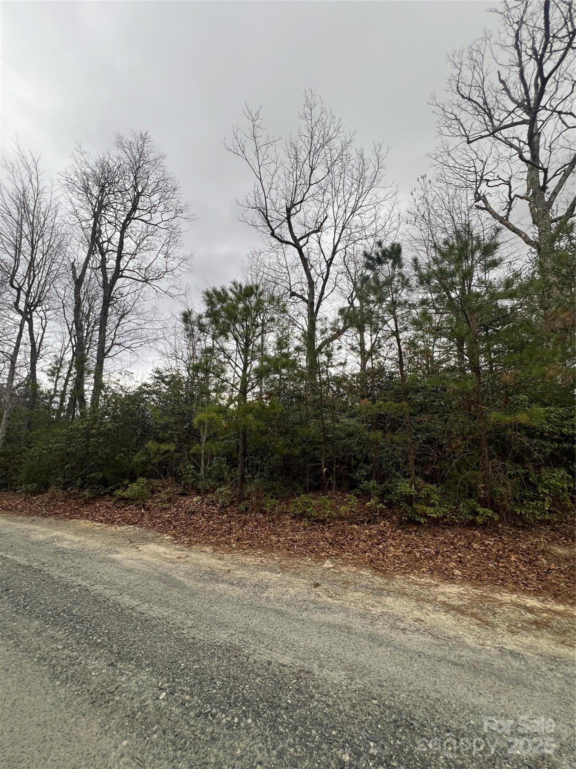 000 Emma Bri Lane F8