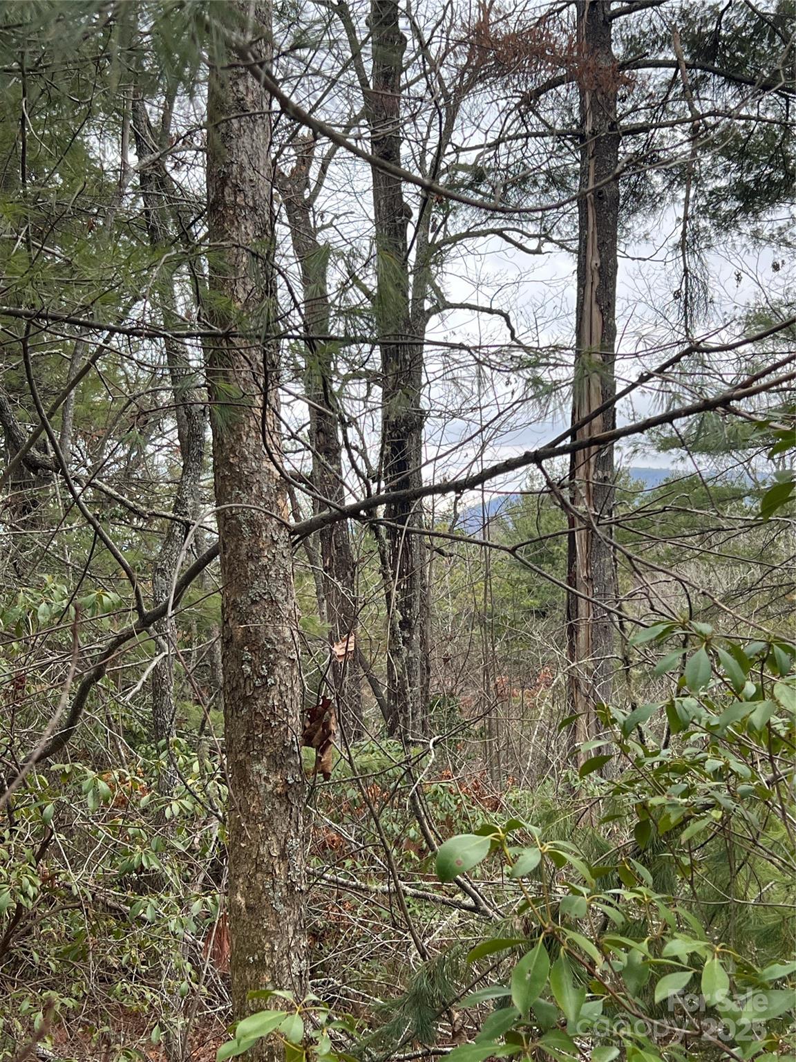 000 Emma Bri Lane F8