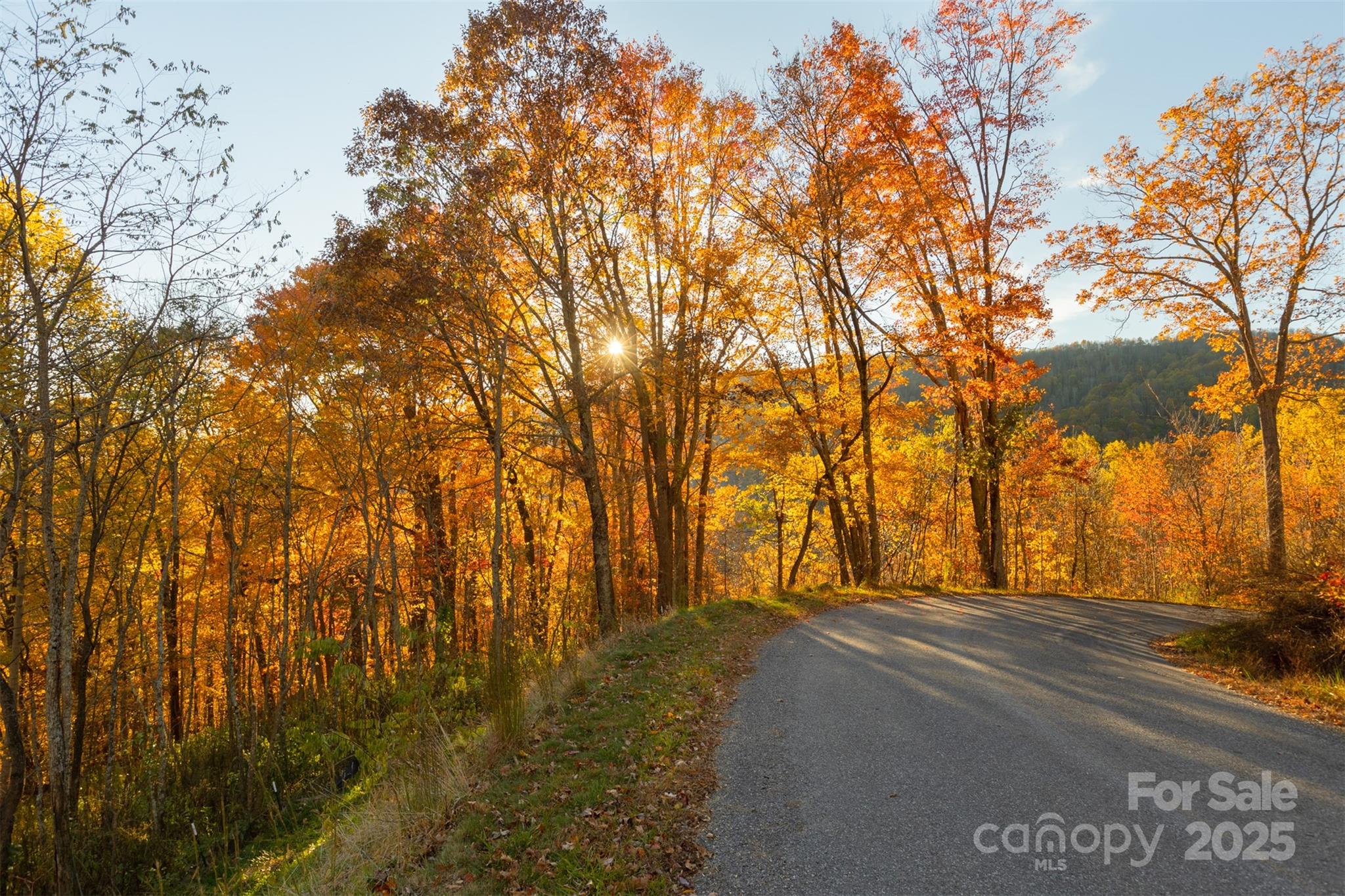 0 Wesley Creek Road 1 and #2