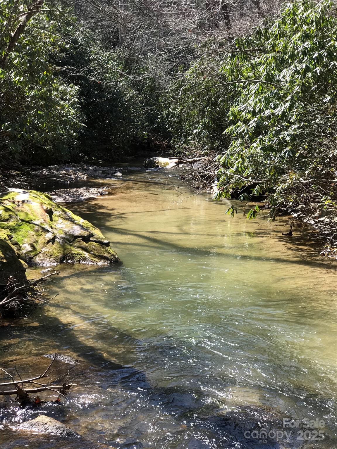 87 Stepp Ridge Court