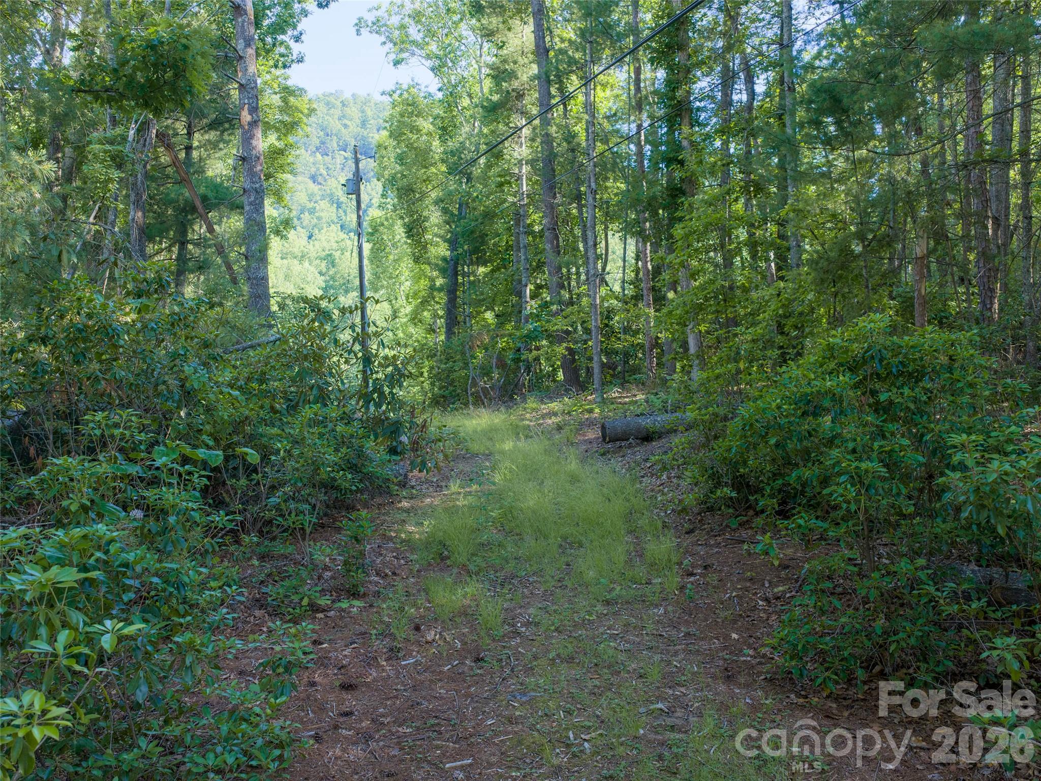 000 Mountain Laurel Lane