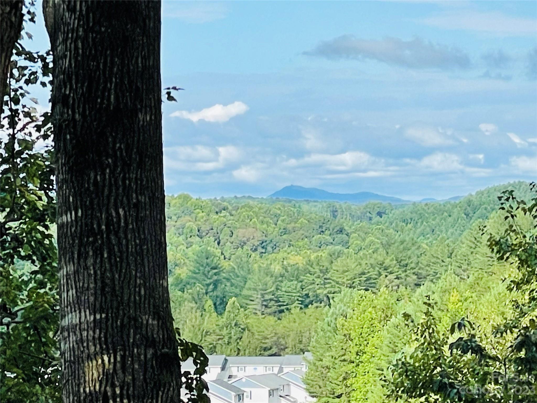 Victory Pointe Condo - Residential