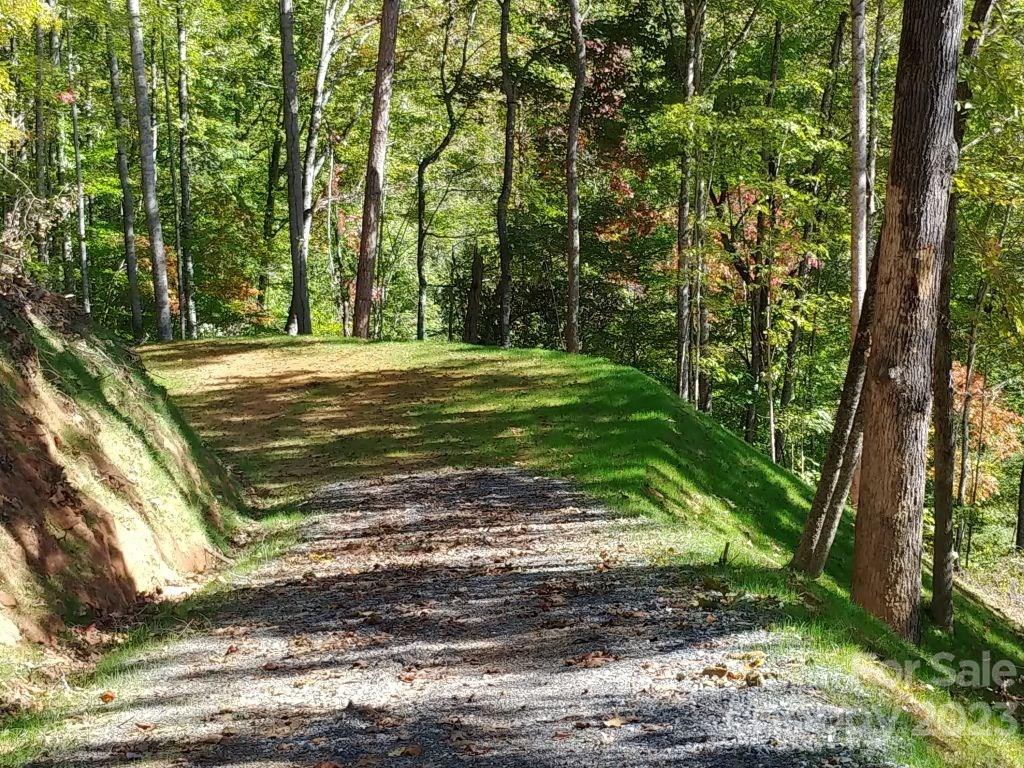 Lot 45 Thomas Divide Way