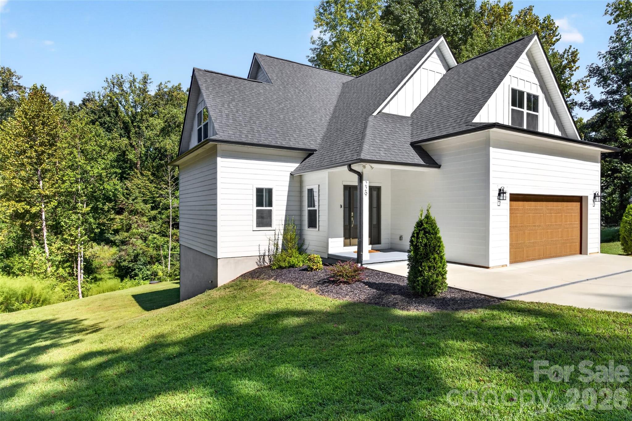 229 Shenandoah Loop