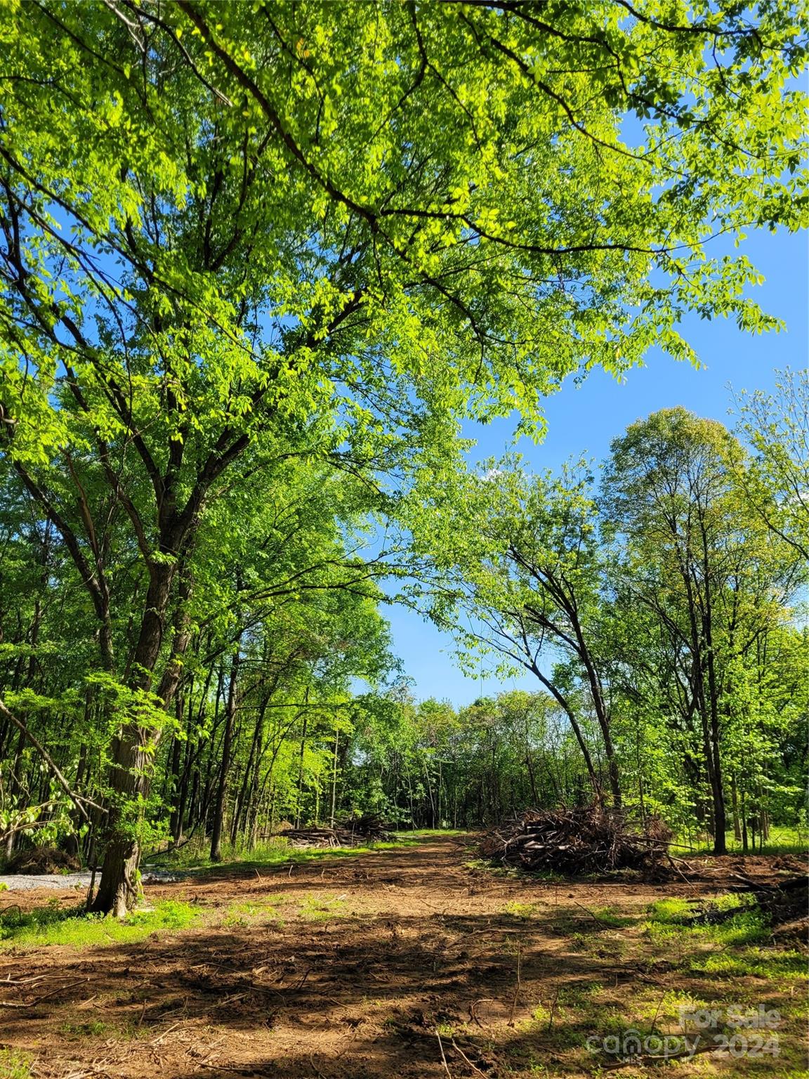 Lot 29 John Morgan Road 29