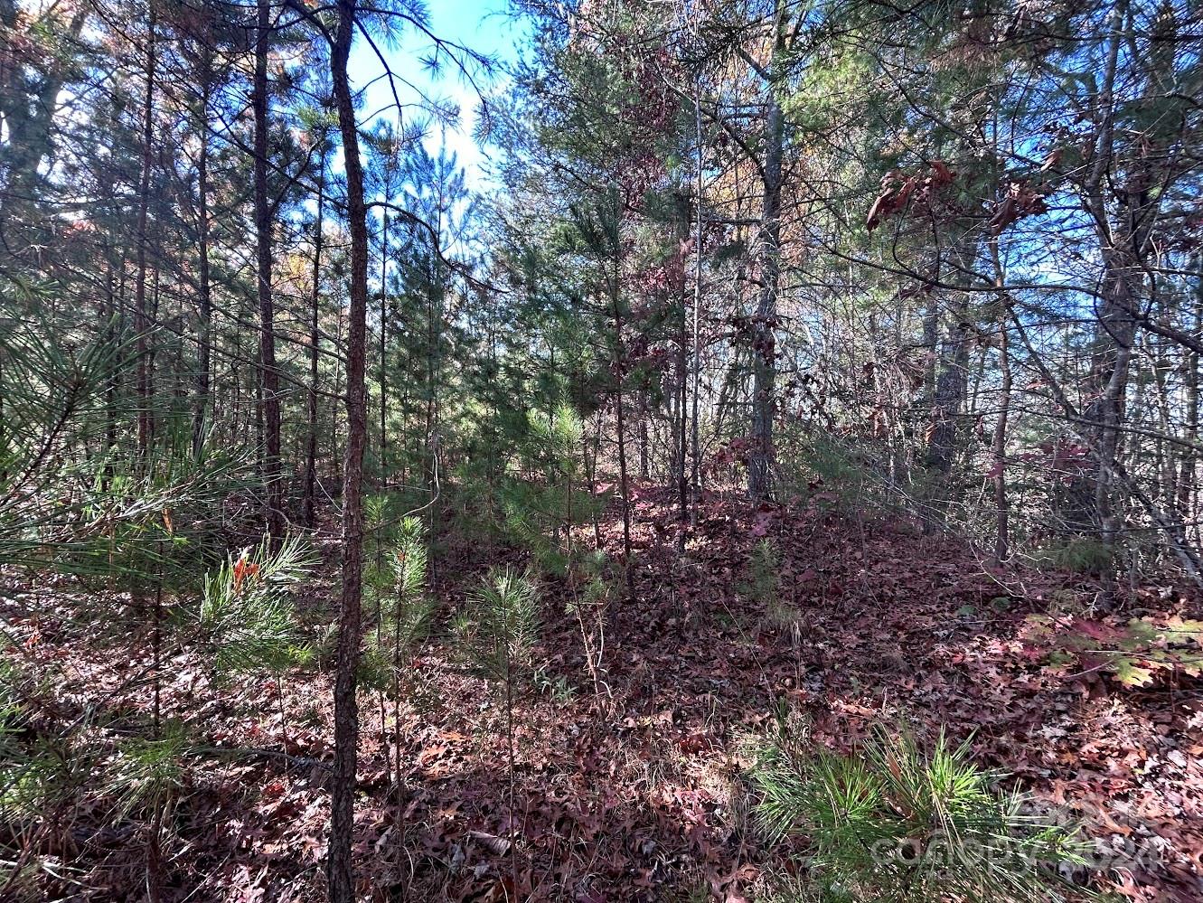 Sawyer Cove Hideaway - Land