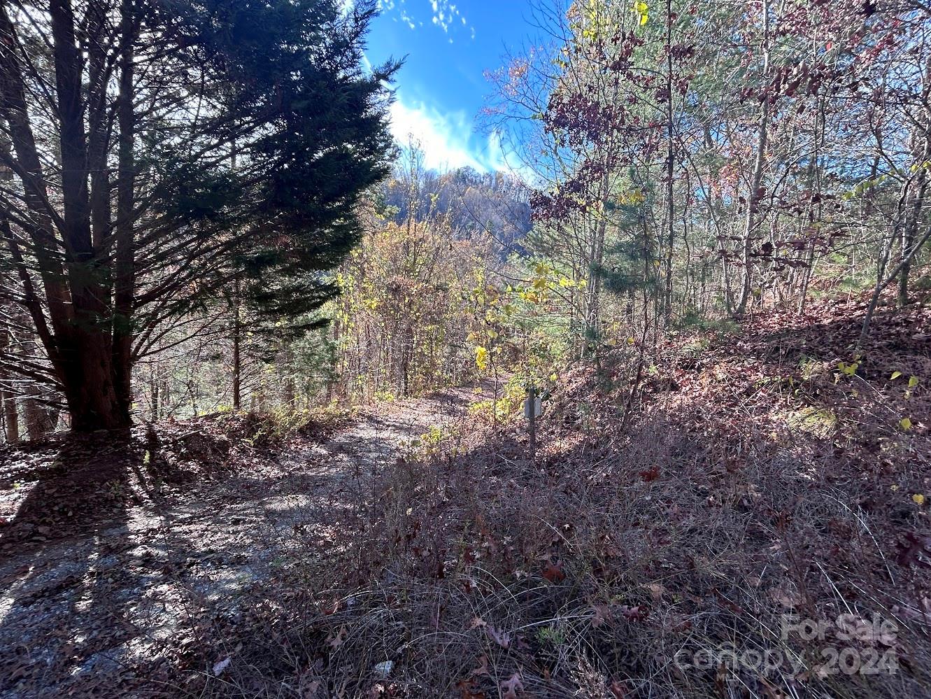 Sawyer Cove Hideaway - Land