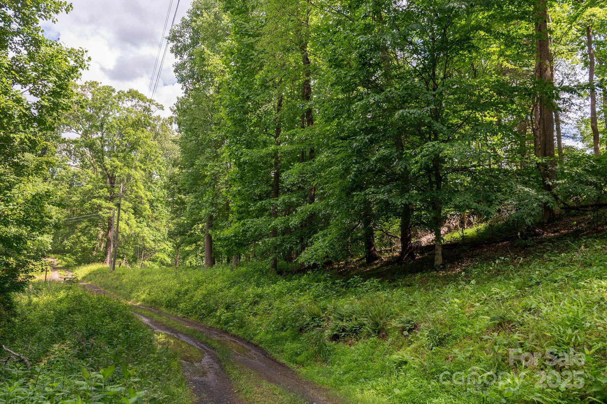 TBD Carolina Keep Road