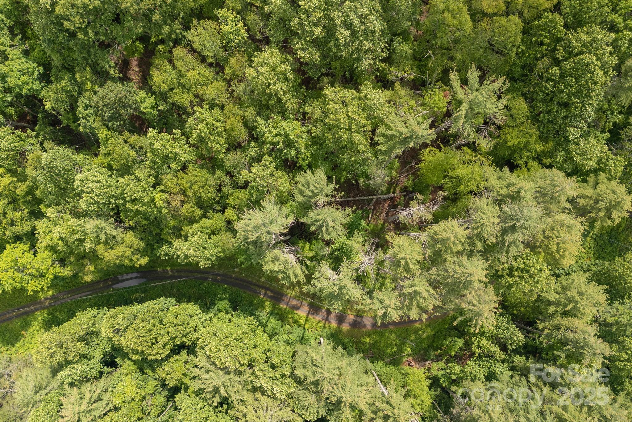 Carolina Keep - Land