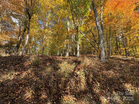 678/679 El Miner Drive Mars Hill NC 28754