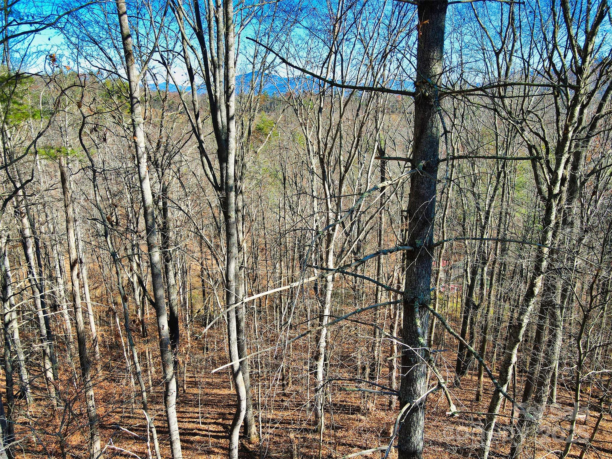 TBD Rockinghorse Trail Tract #3