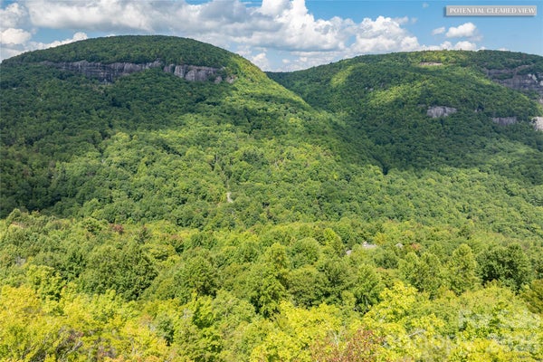 869 MEADOW RIDGE DR, LAKE TOXAWAY, NC 28747 - Image 38d19a8f68e4fea45c19cf84376ea100/180770392
