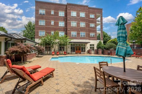 42 Schenck Parkway B08 Asheville NC 28803