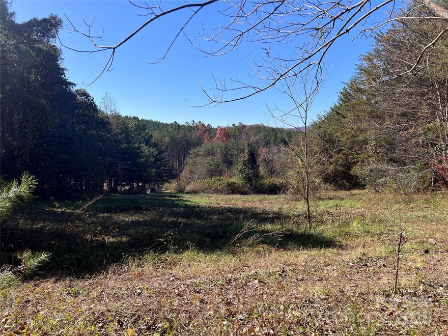 Mid-Sized Vacant Land in Bostic, Rutherford County.  
This beautiful tract offers rolling hills, potential building sites, and ample room to explore nature on your own land. Located on a quiet dead-end road, this property provides the peace and seclusion many buyers are seeking.  Conveniently located close to Highway 226 means access to small towns such as Marion or Rutherfordton is simple and easy.  A recent survey and soil testing has been completed on the property. Young trees and access trails make this land easy to explore.  Looking for tranquility in the foothills of NC?  This property has endless possibilities.