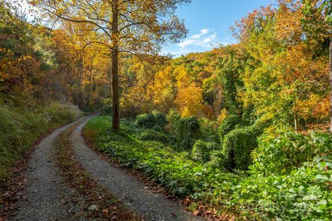 99999 Harwood Road Barnardsville NC 28709