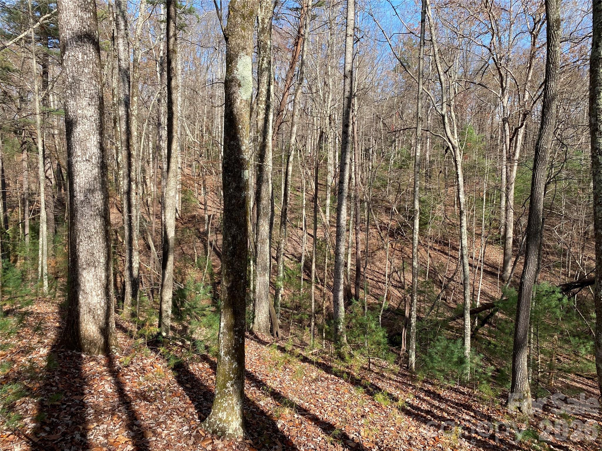 81 Sutters Ridge Road 81