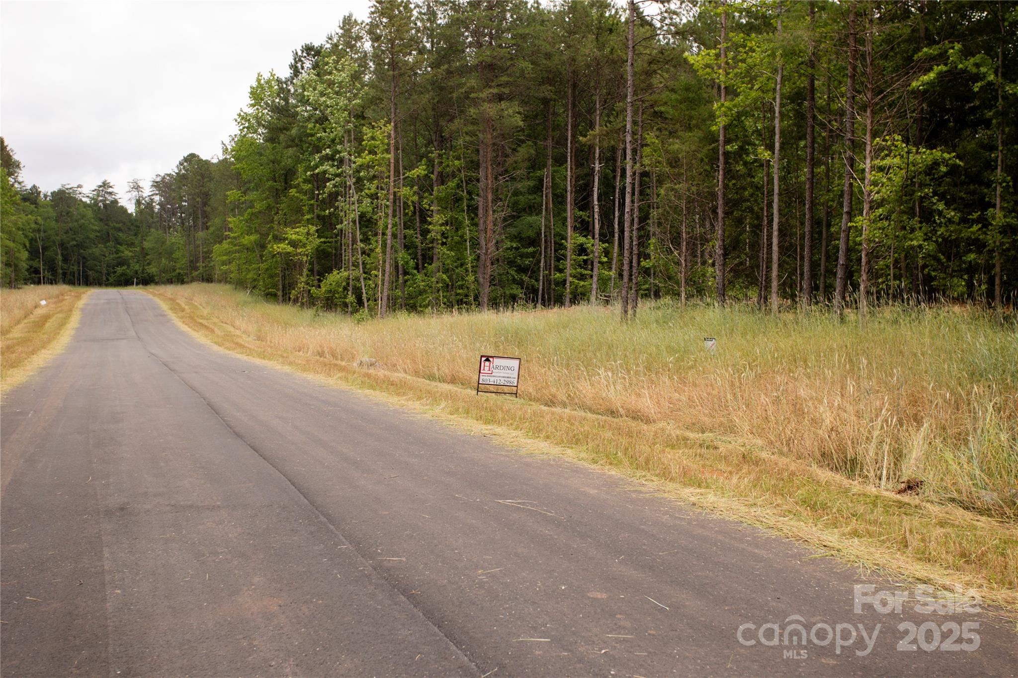 Southern Pine Lake - Land