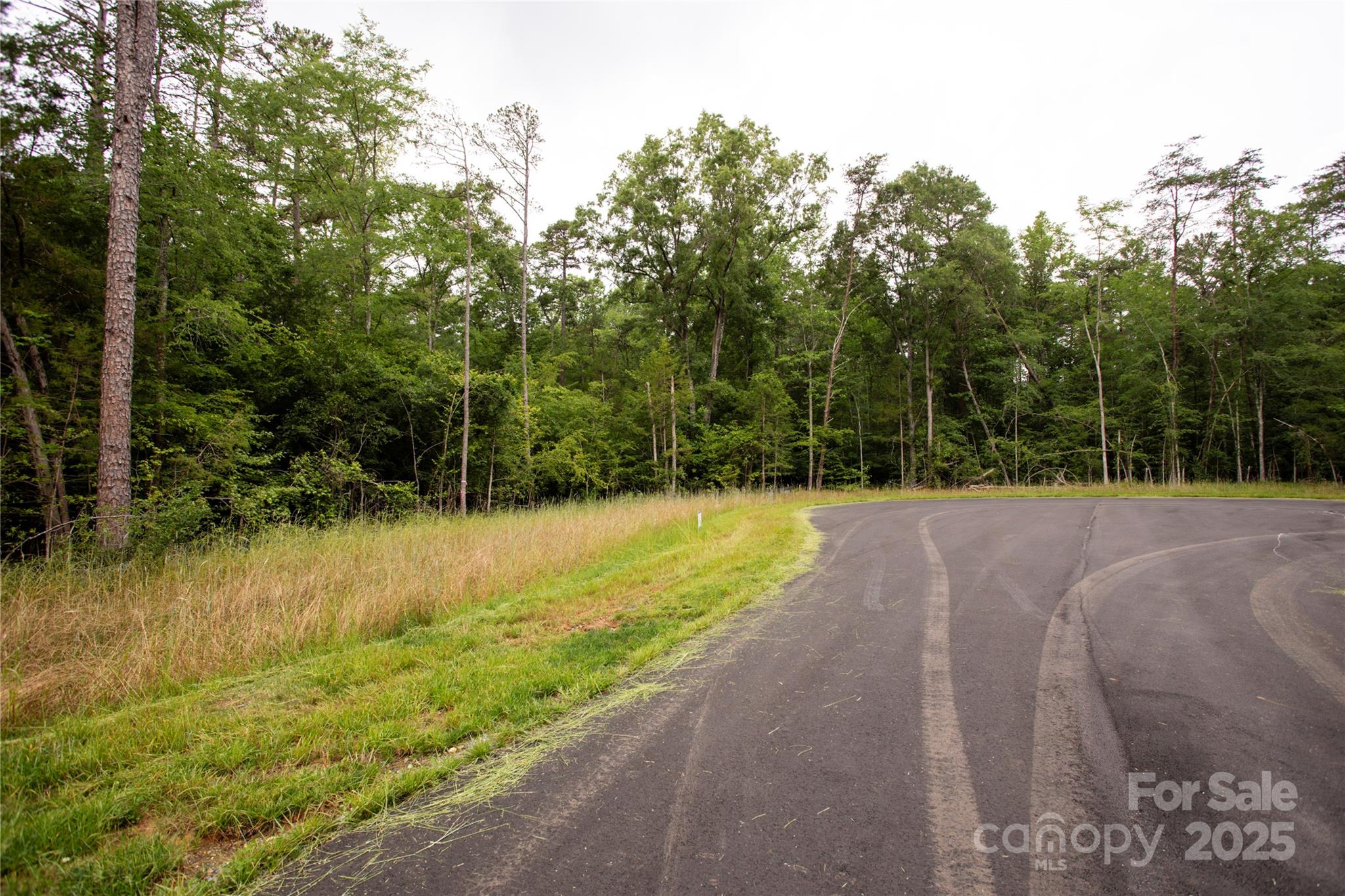 Southern Pine Lake - Land