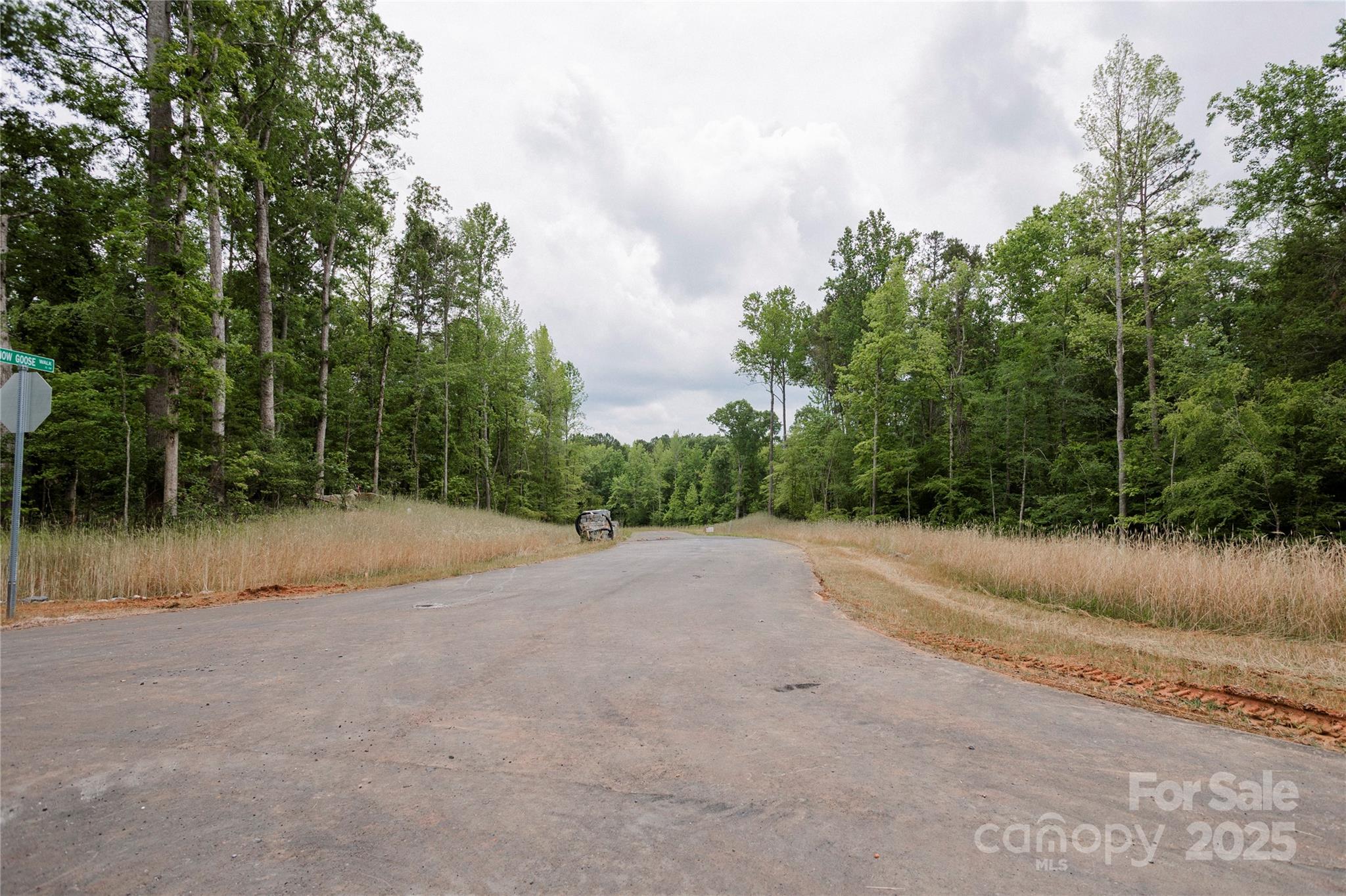 Southern Pine Lake - Land