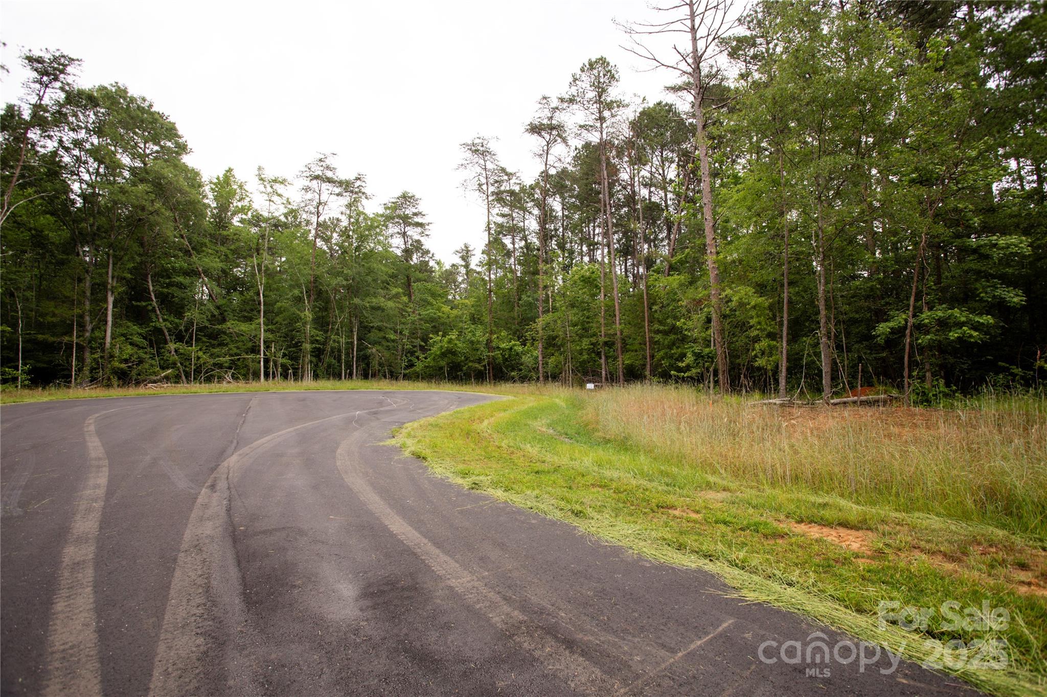 Southern Pine Lake - Land