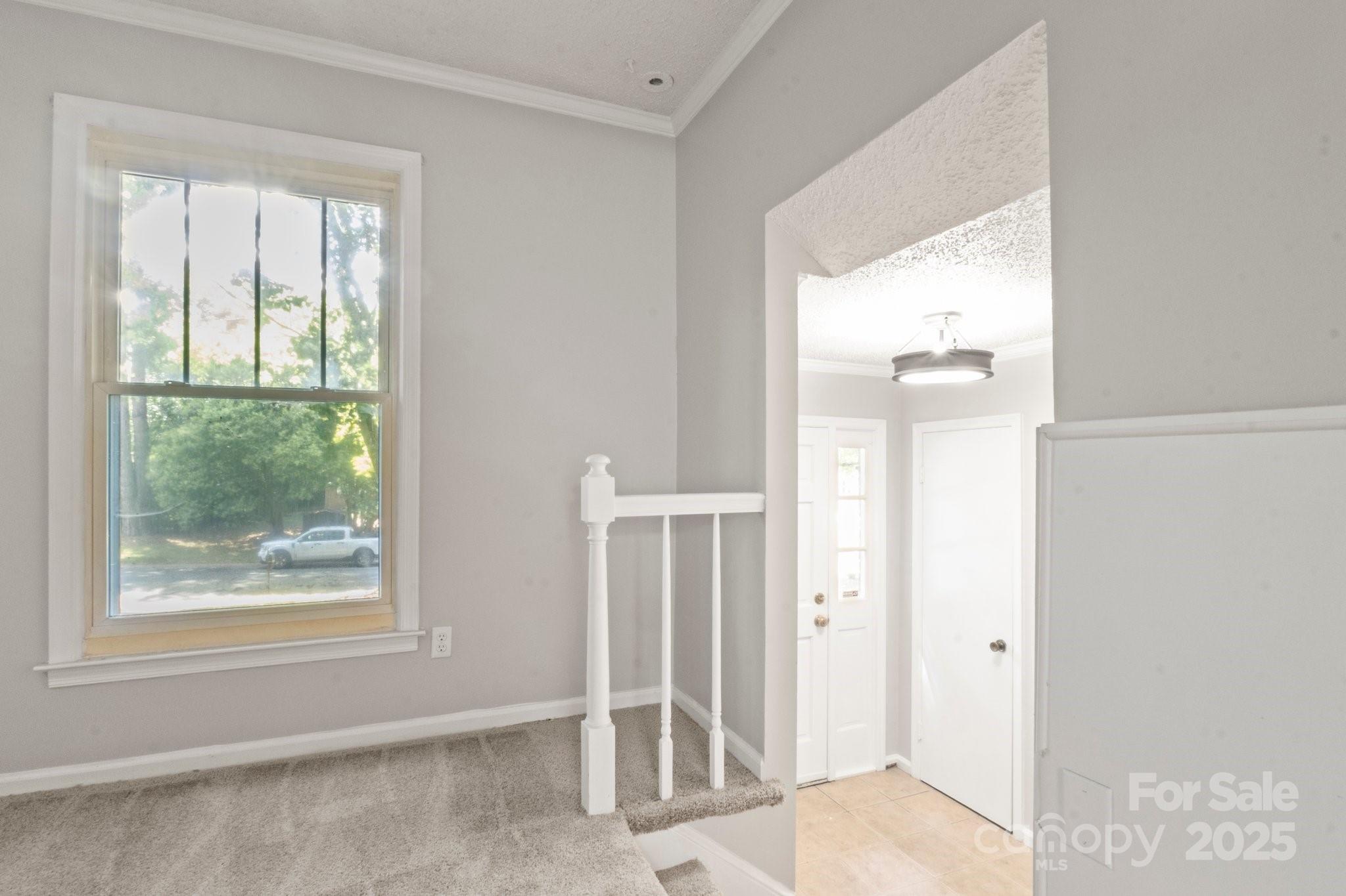 2508 Wood Star Court