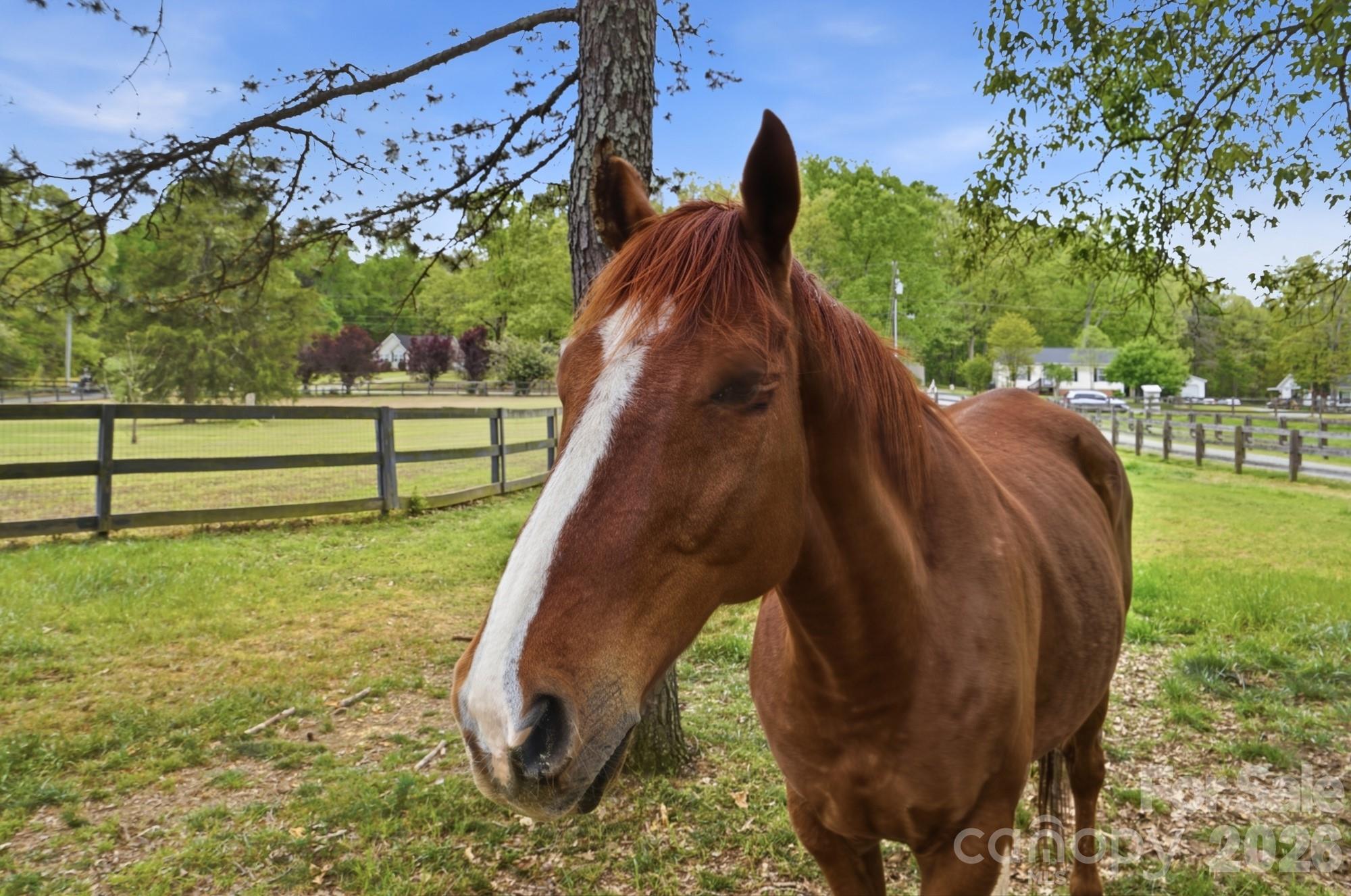 Walnut Crest - Residential