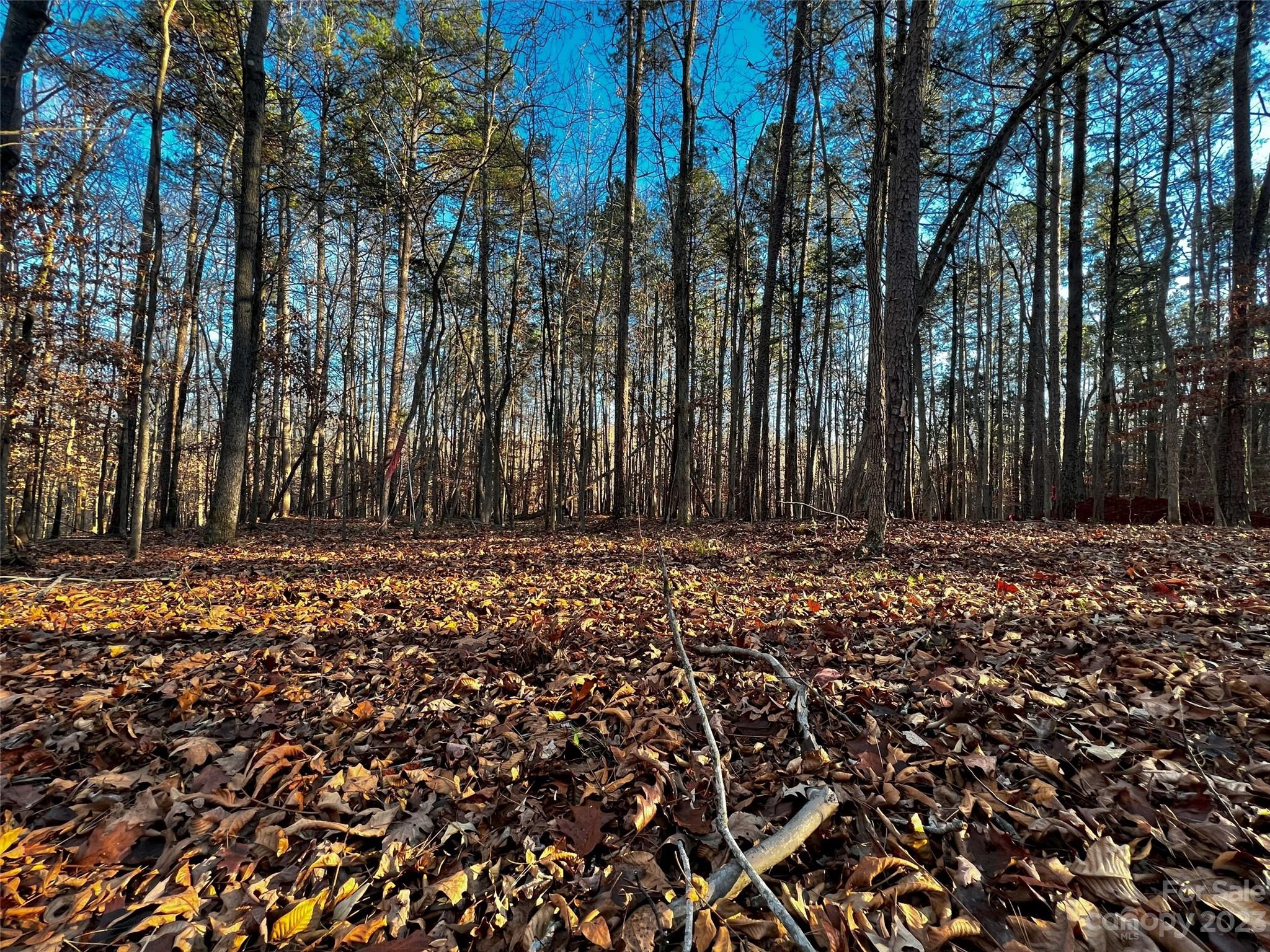 126 Hunt Camp Trail 20