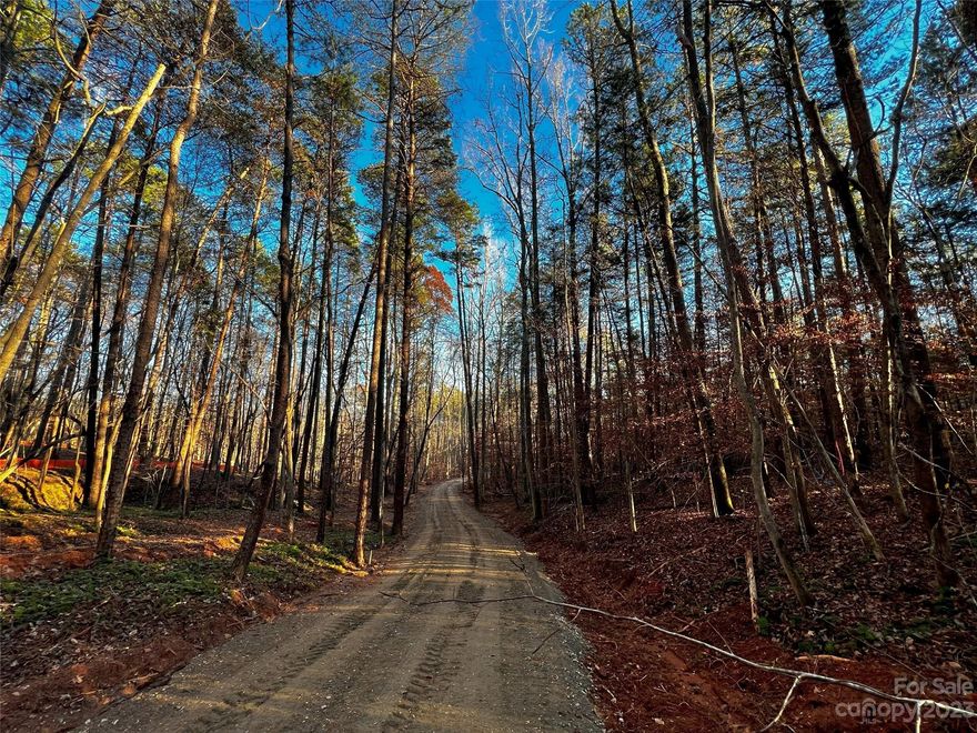 Incredible opportunity to build your DREAM home just minutes from downtown Davidson with low Iredell County taxes in brand-new custom home community, Copper Pine! Estate-sized, wooded homesite with quick access to fabulous boutiques, gourmet restaurants, Village Green Park, and more. A great location for your luxury custom home to be built by repeat "Best of the Lake" winners, AR Homes - Monterey Bay Construction Charlotte. Choose from a wide variety of fully customizable plans, including ranch and 2-story options, or partner with our experienced local team to design and build your one-of-a-kind AR Home, complete with high-end finishes throughout. Call to schedule your personalized design consultation today.