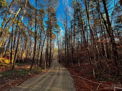 126 Hunt Camp Trail 20 Davidson NC 28036