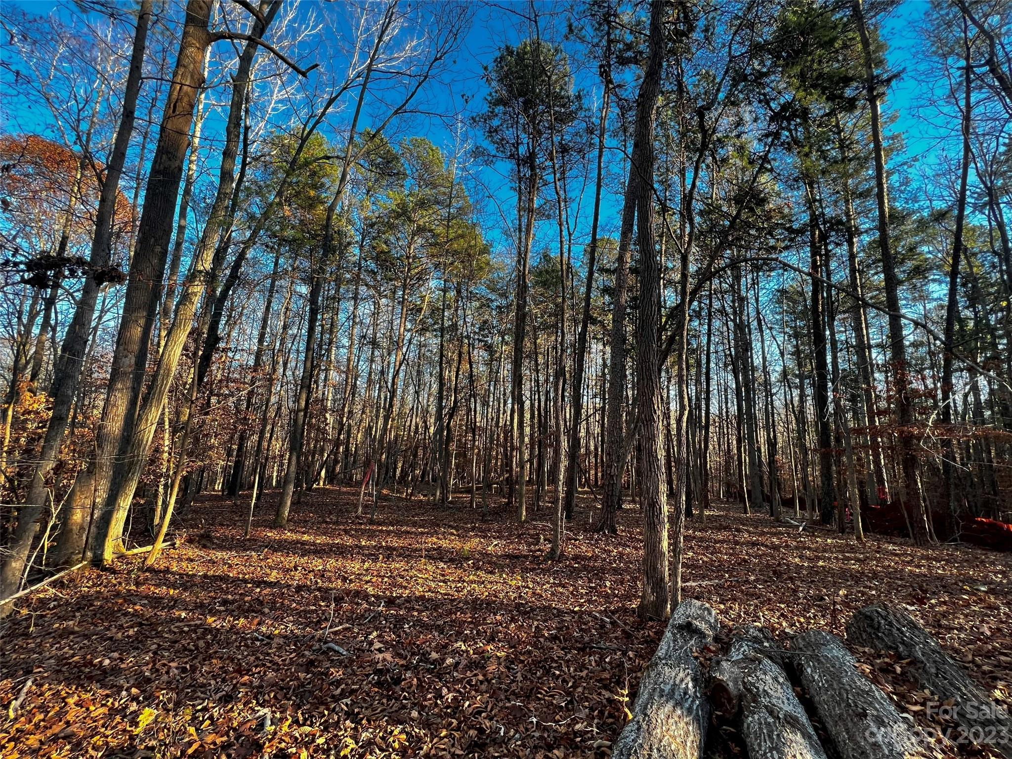 126 Hunt Camp Trail 20