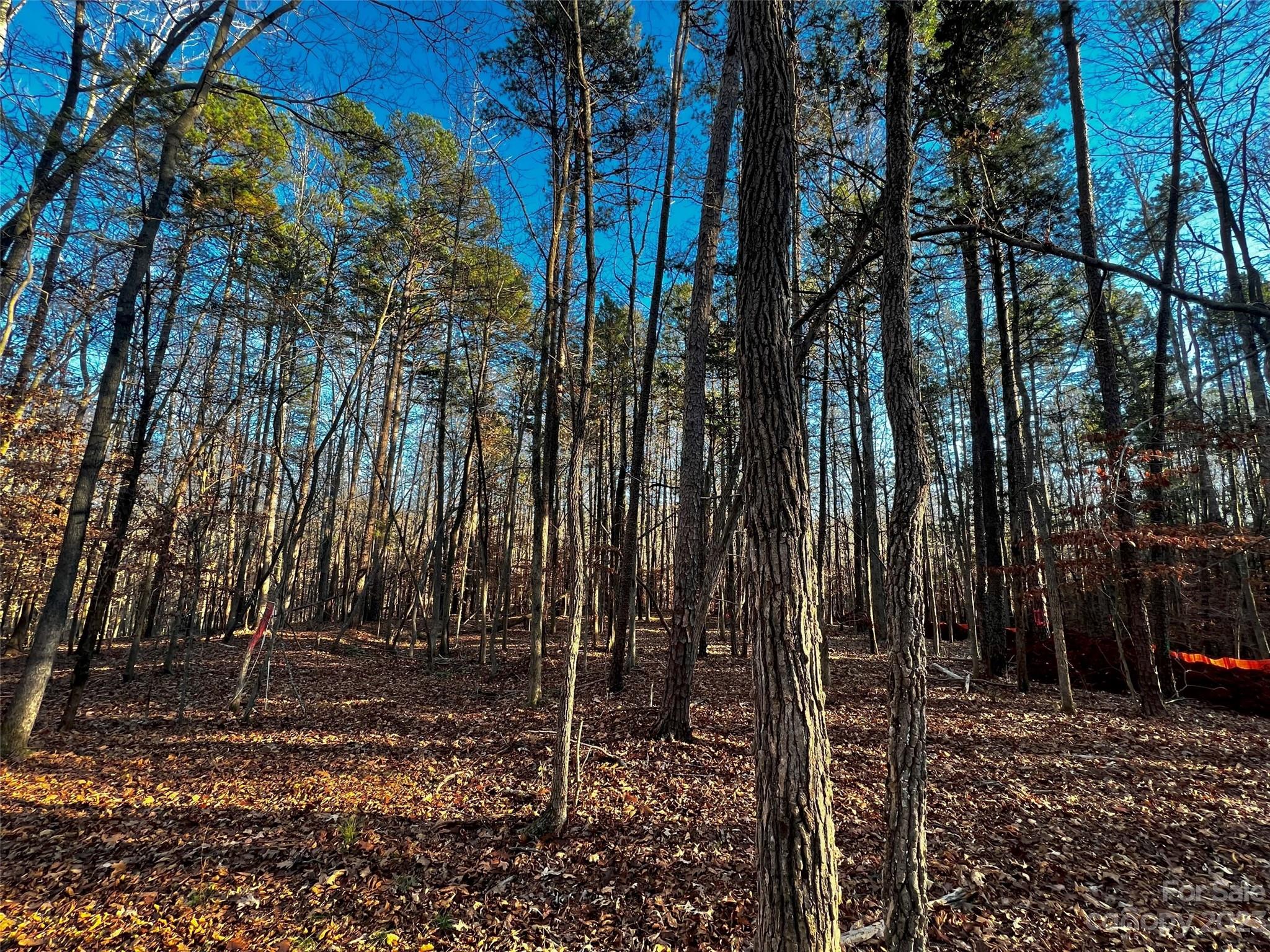 126 Hunt Camp Trail 20