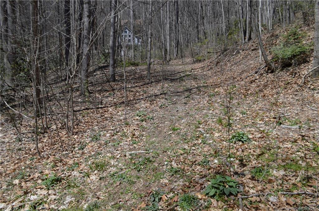 Sherwood Forest - Land