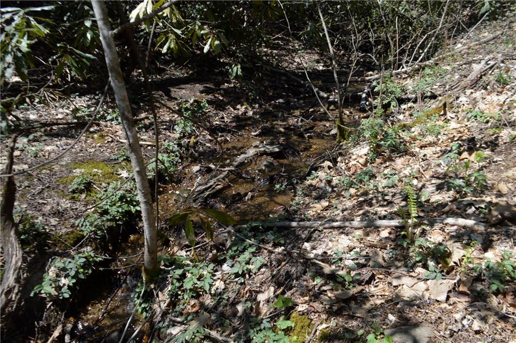 Sherwood Forest - Land