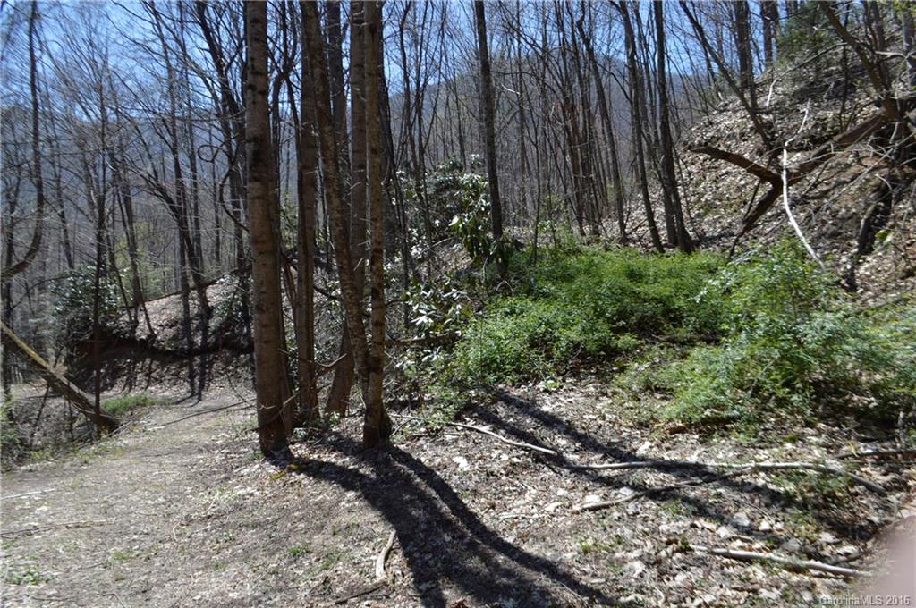 Sherwood Forest - Land