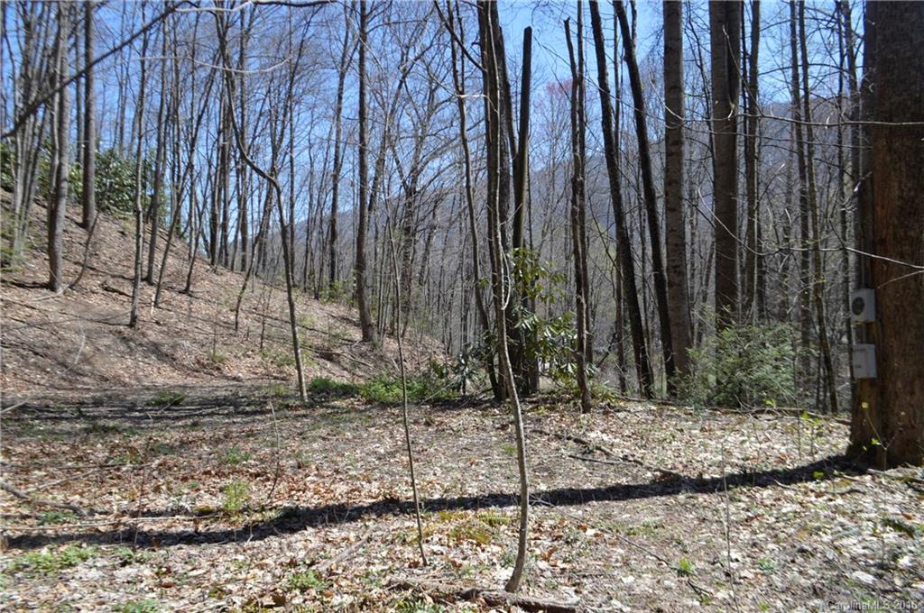 Sherwood Forest - Land