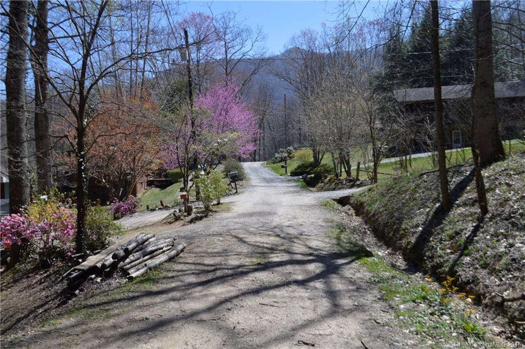 Sherwood Forest - Land