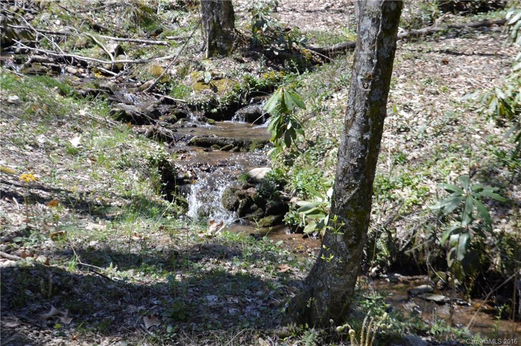 Sherwood Forest - Land