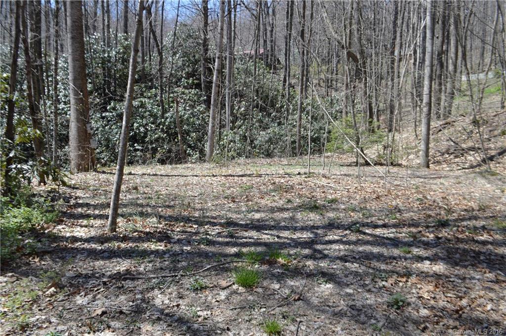 Sherwood Forest - Land