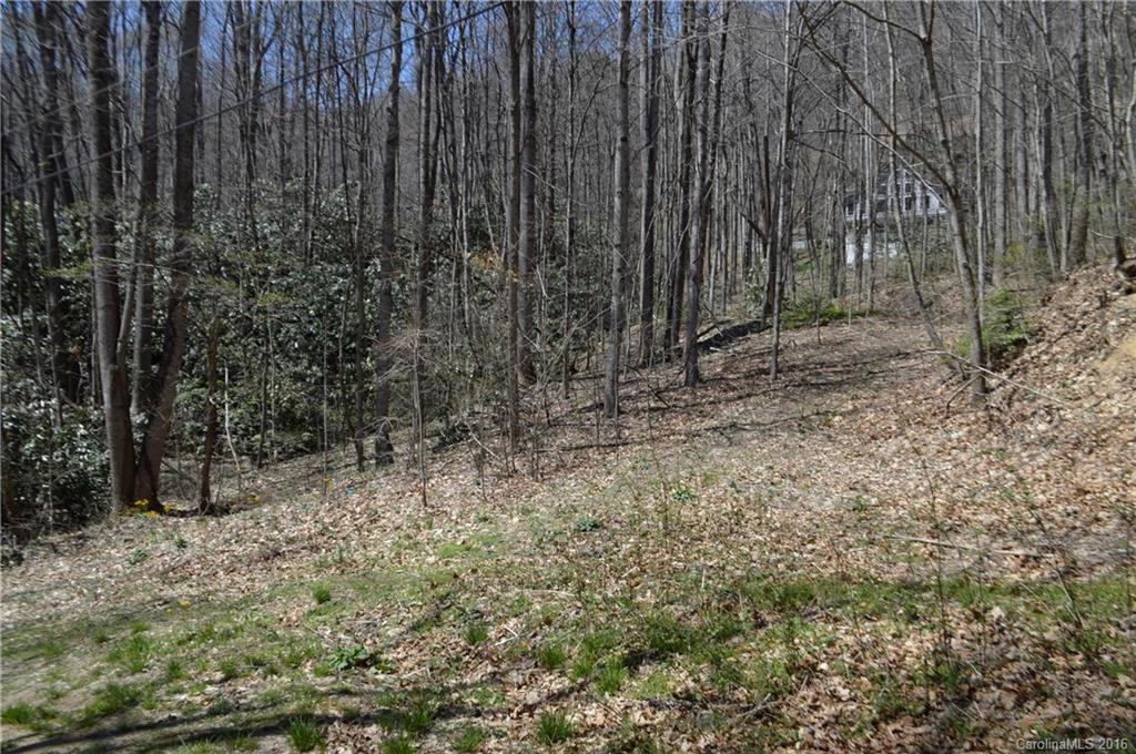 Sherwood Forest - Land