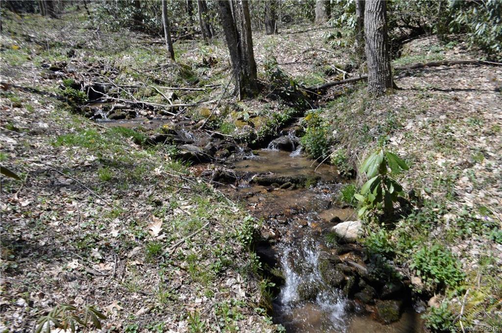 Sherwood Forest - Land