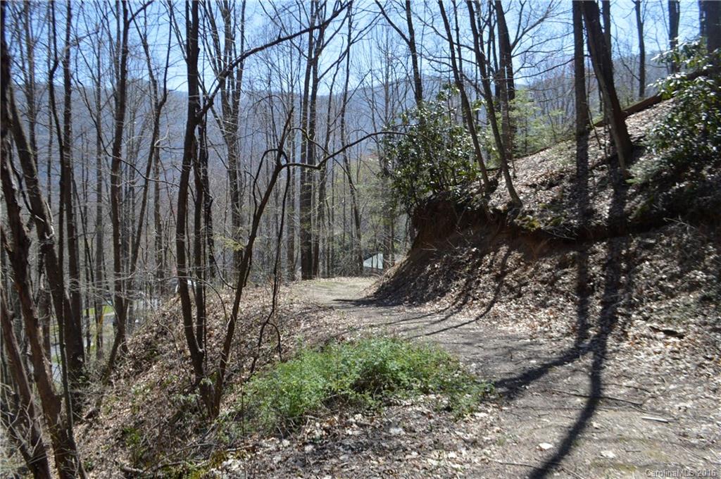 Sherwood Forest - Land