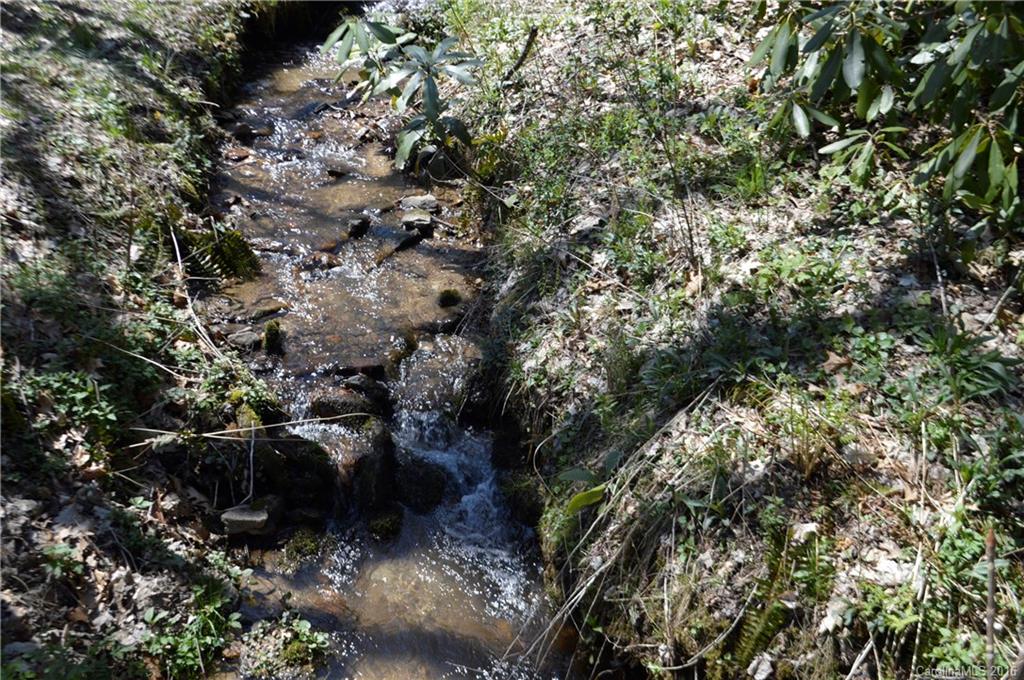 Sherwood Forest - Land