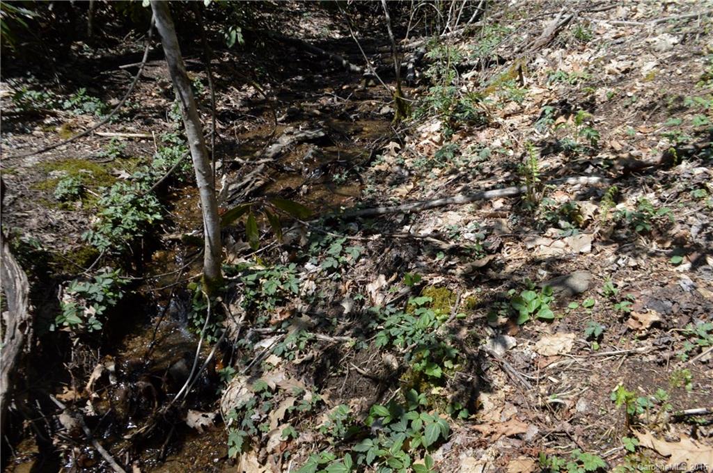 Sherwood Forest - Land